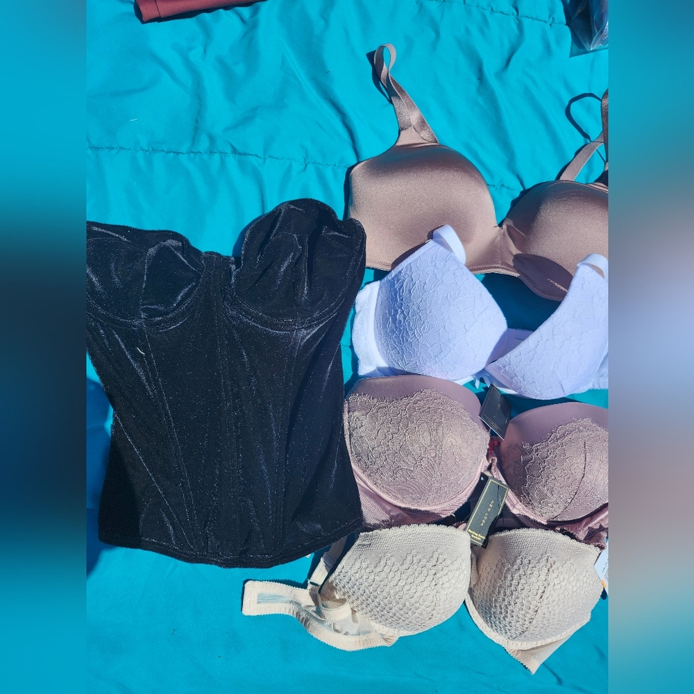 NWT 36C bras and velvet zip corset